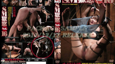 ADV-R0604 SM Prison Window Vol.16