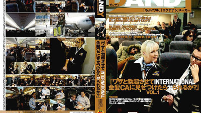 DANDY-071 If I make you erect on purpose and show it to an INTERNATIONAL blonde CA, will you be able to do it? VOL.1