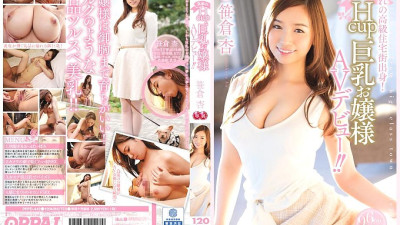 PPPD-442 Born in a high-class residential area! Good family Hcup busty lady AV debut! !! Ann Sasakura