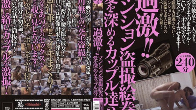 SINO-221 Radical! ! Mansion Voyeur Picture Scroll Couples Who Deepen Love 2