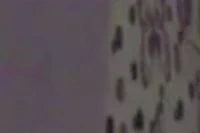 모델 그녀  얼공사진포함