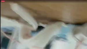 얼공 미혼모 하루 인스타 라방 올노자위