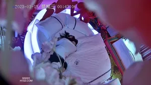 IP_레즈_볼만한거