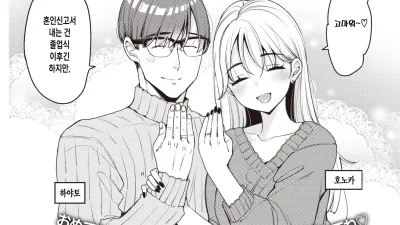 노 카운트