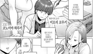 여름의 보상