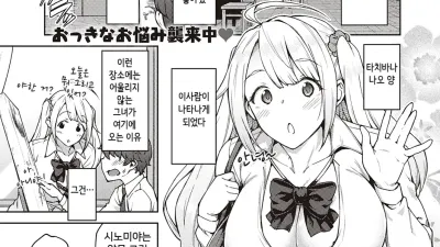 놀리지 말아줘 타치바나씨