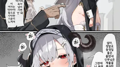 시골의 수녀